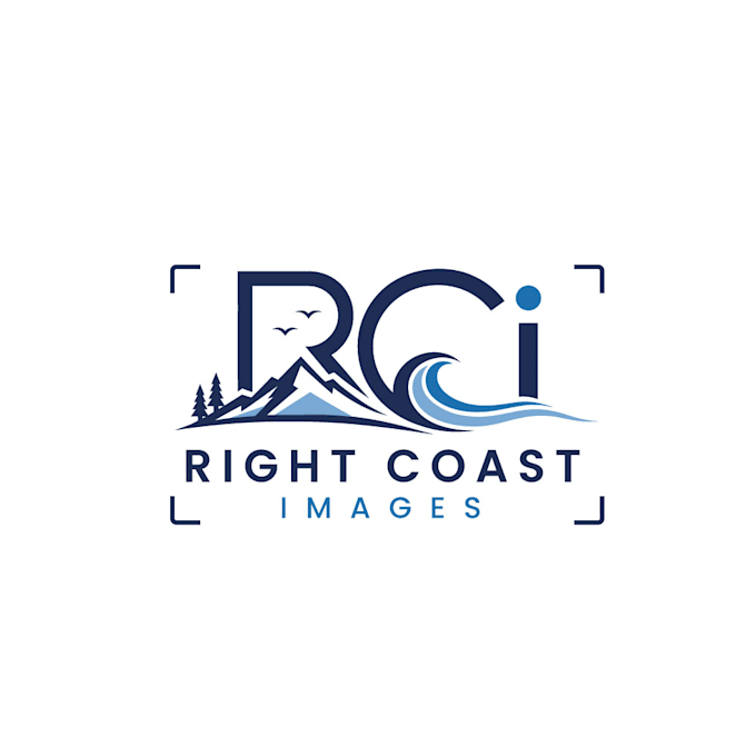 design a professional photography logo for your brand