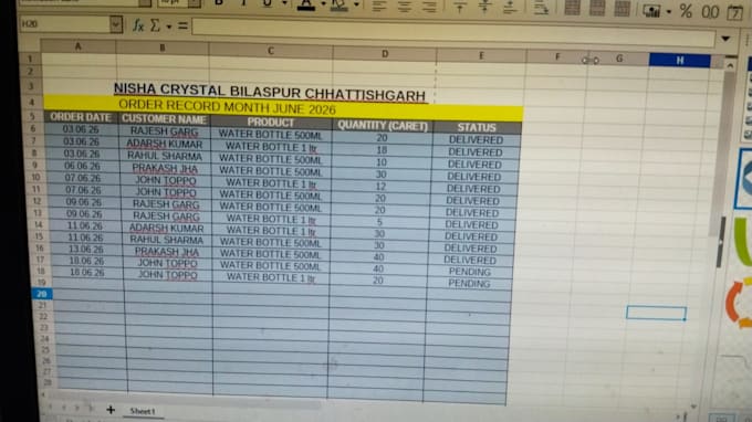 do professional data entry copy paste and business order tracking in excel