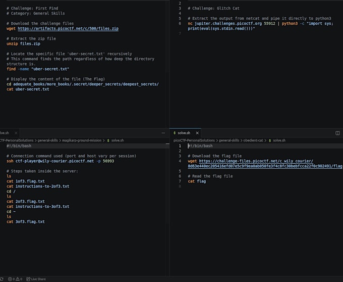 fix bugs or write simple python and bash automation scripts