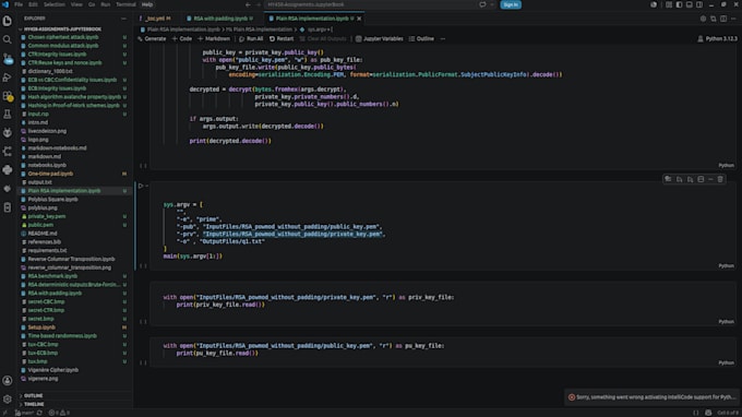 debug, optimize and develop software in python, java, c, cpp
