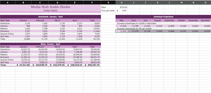 make professional microsoft excel and spreadsheets