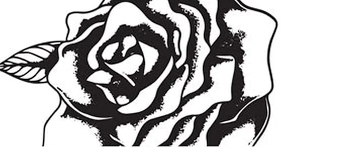 design professional phoenix tattoo artwork