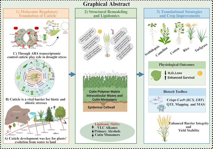 create publication quality scientific figures and graphical abstracts
