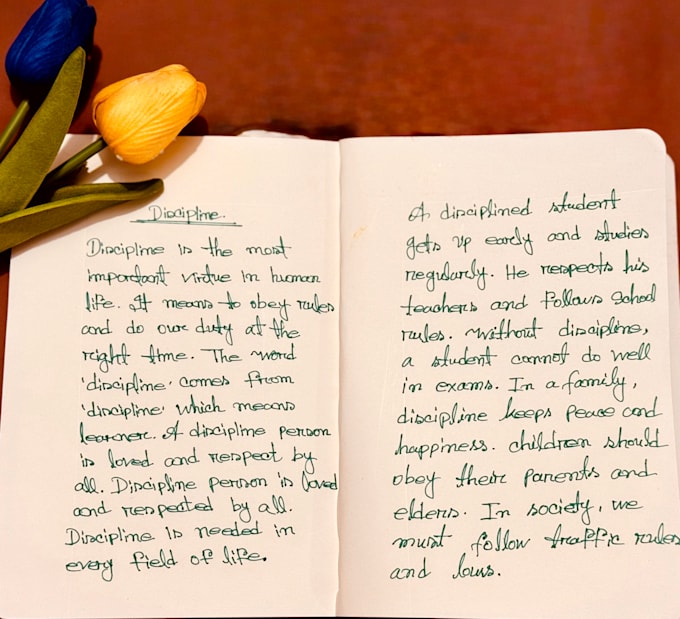 write anything with my beautiful handwriting