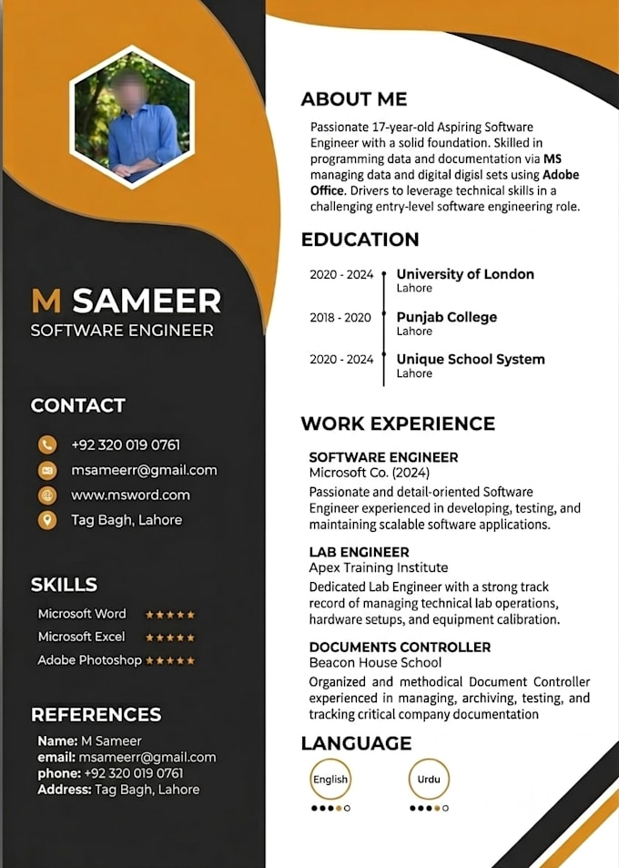 design professional CV, resume and format ms word documents