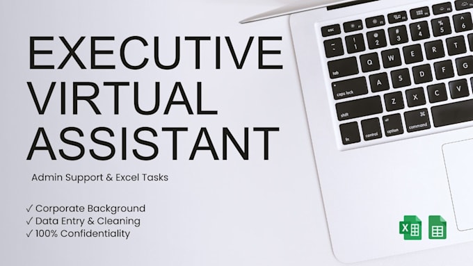 be your virtual assistant for administrative support and excel tasks