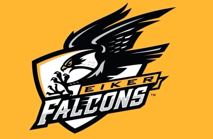 create high quality eagle mascot logo with t shirt design