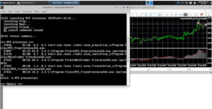 set up mt5 on linux ubuntu on vps