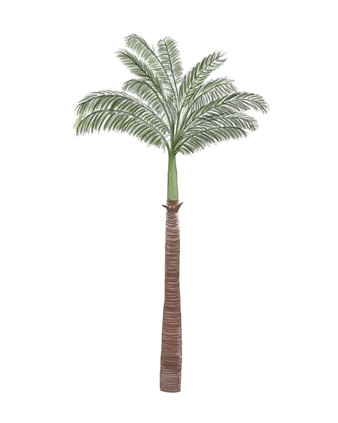 illustrate a fruit, plant or flower