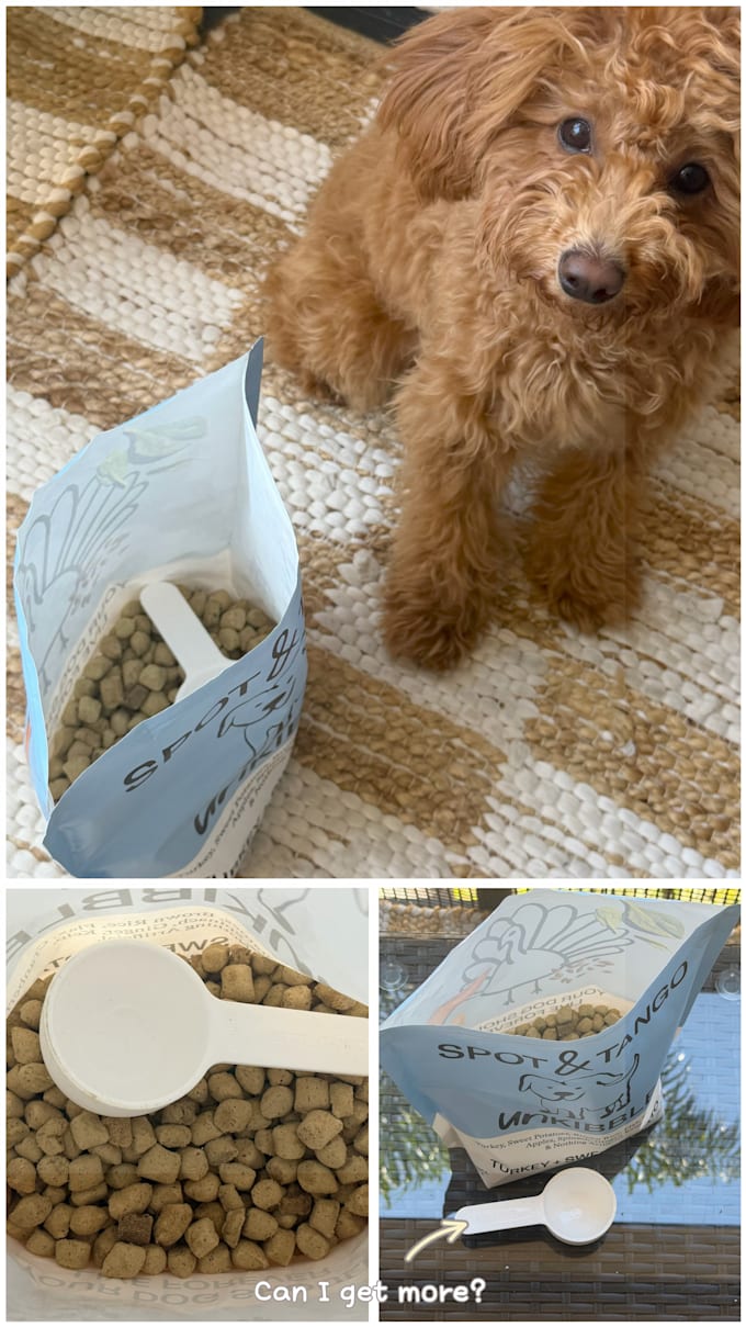 be your dog mom ugc creator