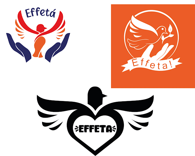 brand identity and animations