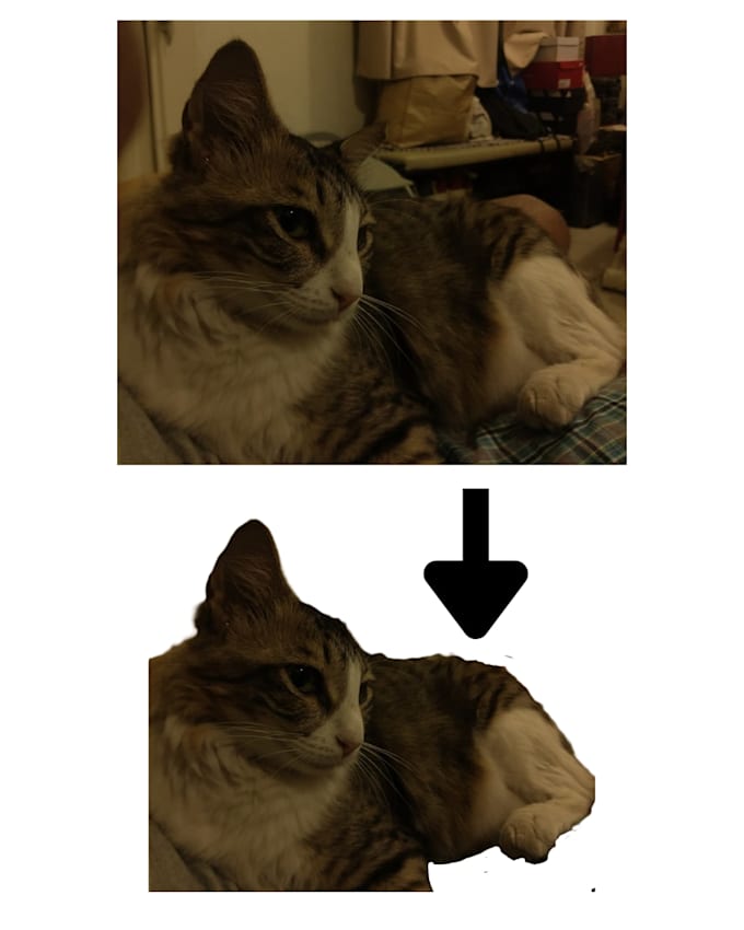 remove background, resize, and edit photos