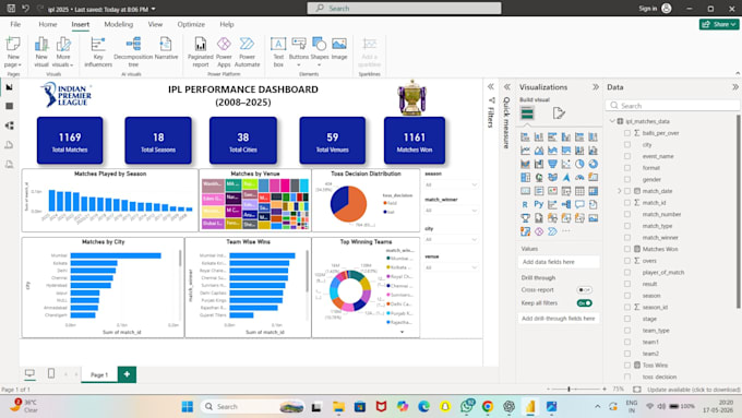 create professional power bi dashboards and reports
