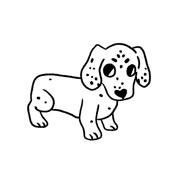 turn your pet into a silly, cute doodle illustration