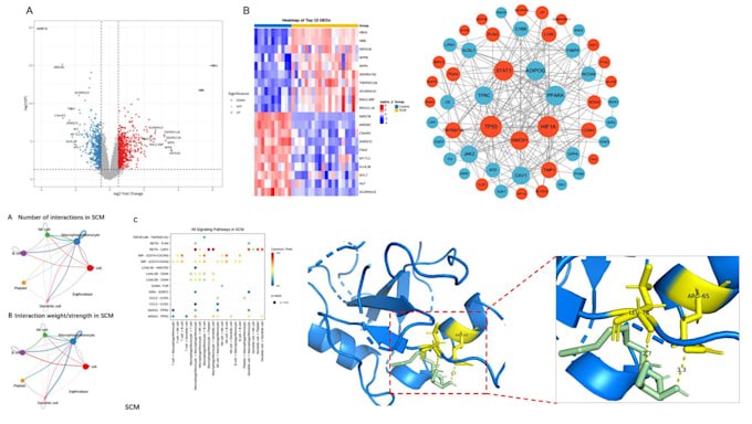 do bioinformatics analysis, data visualization using r, python and linux