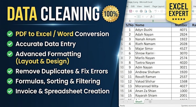 do professional excal data entry data cleaning formatting and pdf to excel