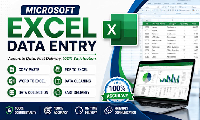 do accurate microsoft excel data entry professionally