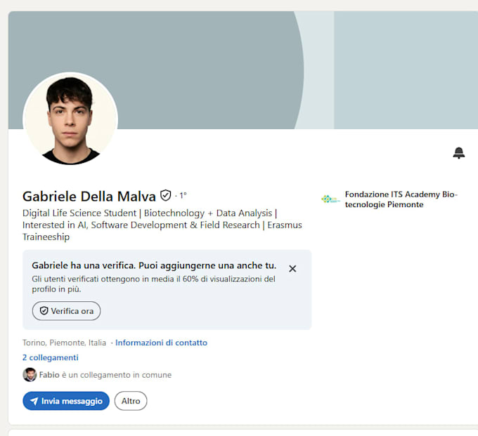 translate documents and texts