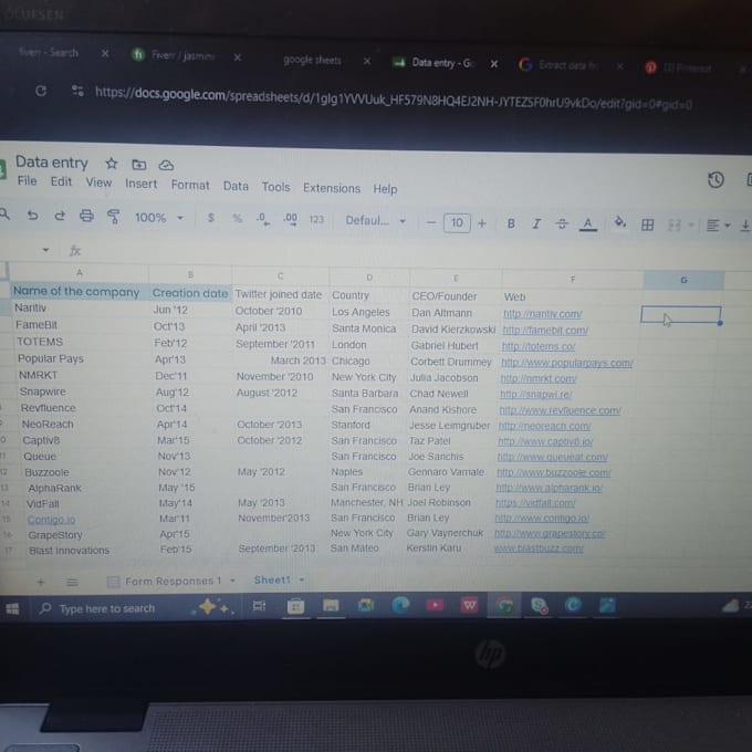 excel data entry, google sheets, and copy paste tasks