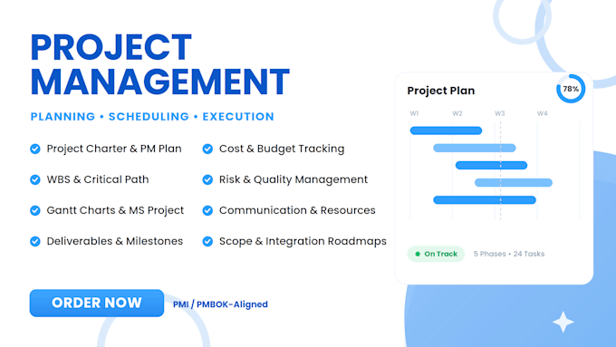 provide project management services for any project
