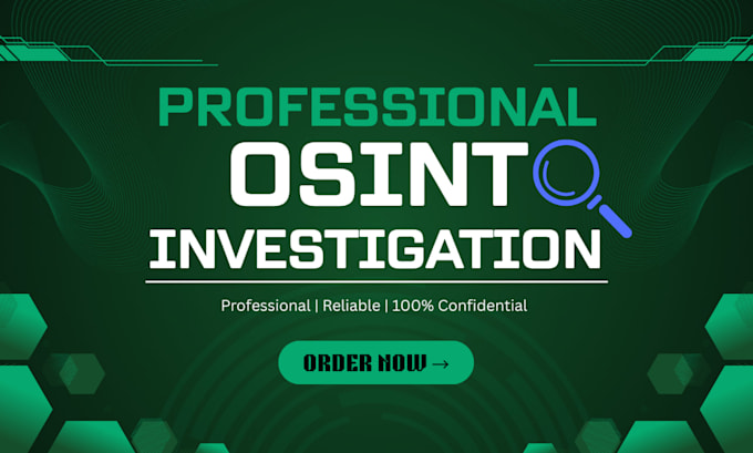 perform osint investigation background check and digital intelligence