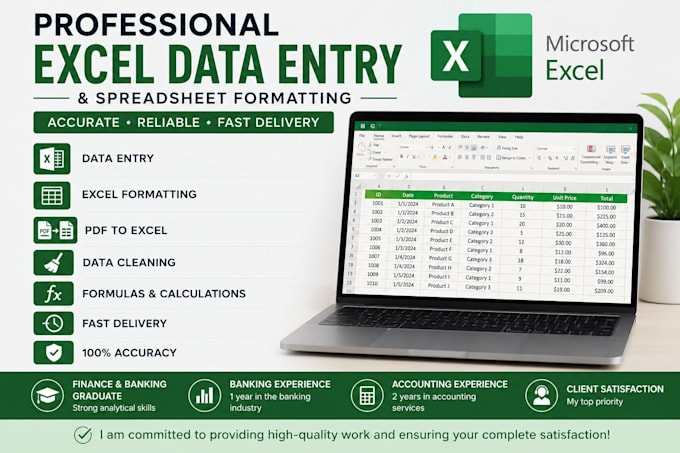 excel data entry and spreadsheet formatting