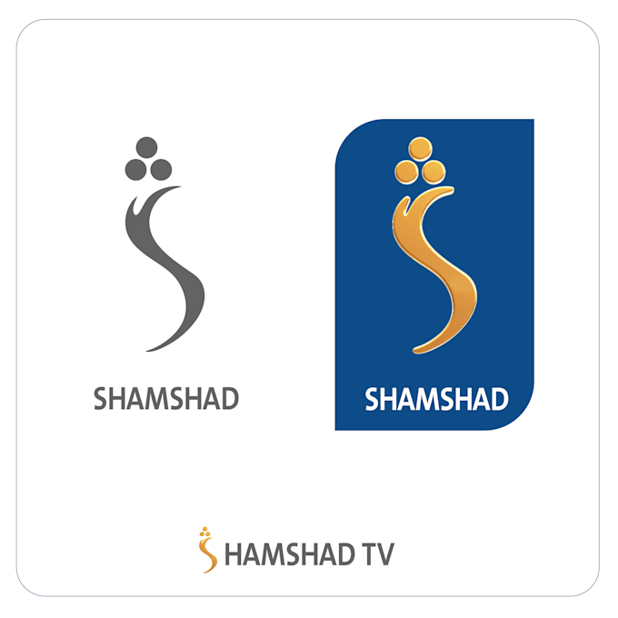 create a professional 3d, animation and logo reveal
