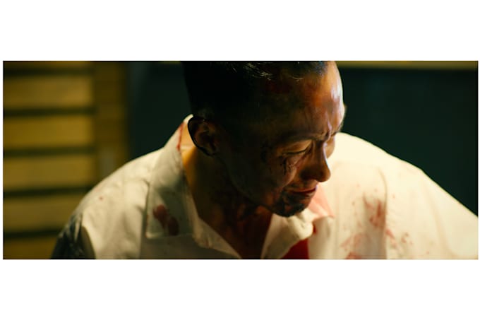 shoot, edit and color grade your cinematic video or film