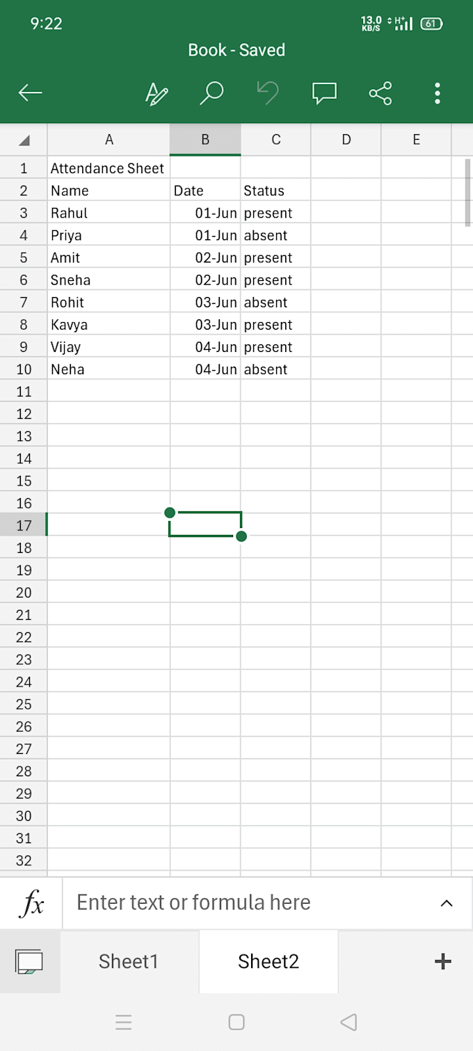create excel spreadsheet, data entry and budget tracker