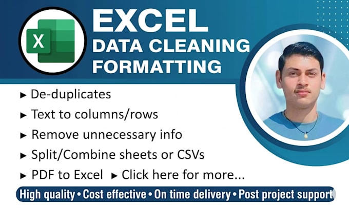 do data entry , data cleaning in excel