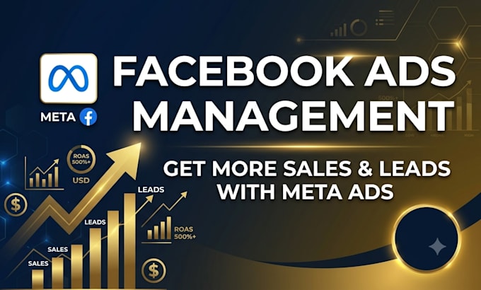 setup and manage high ROI facebook and instagram ads