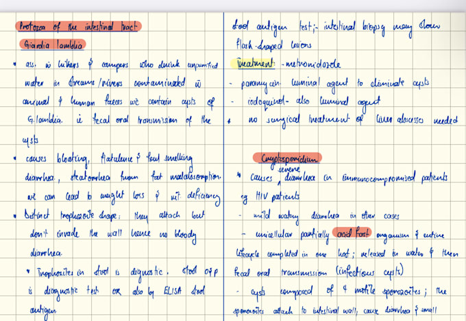 do thorough editing and proofreading of material