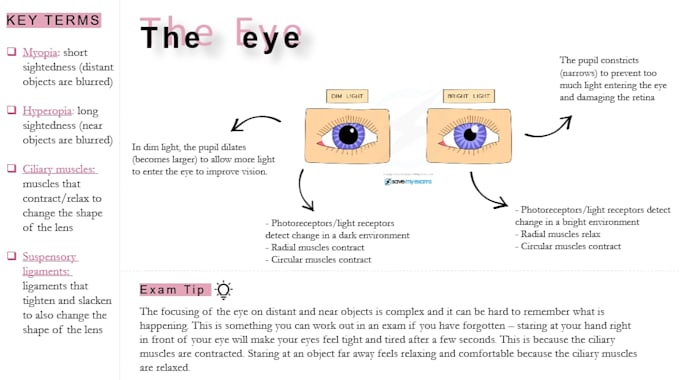 create custom, personalised gcse revision packs