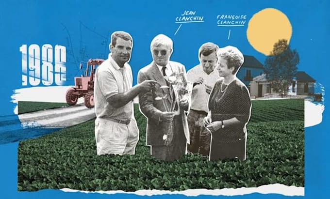 create unique collage and mixed media animation and explainer video
