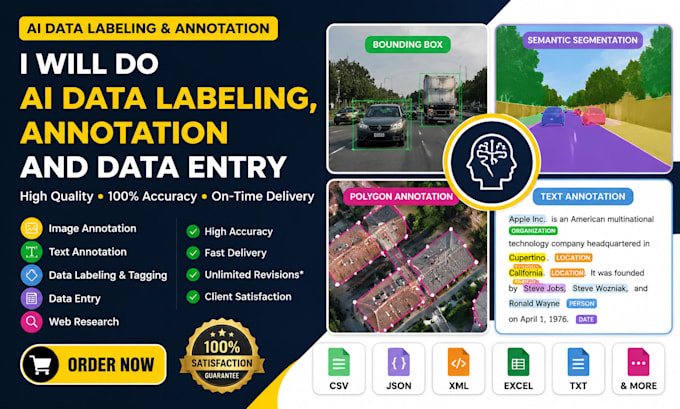 do ai data labeling, annotation and data entry