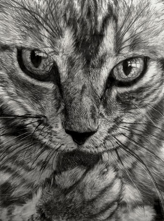 draw realistic hand drawn pet portrait sketch