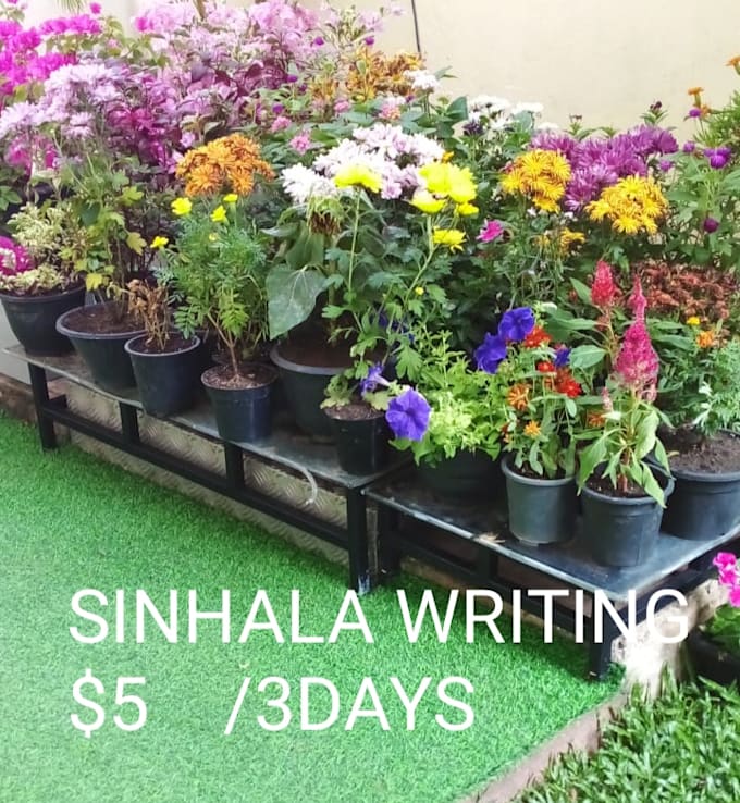 write sinhala content for you