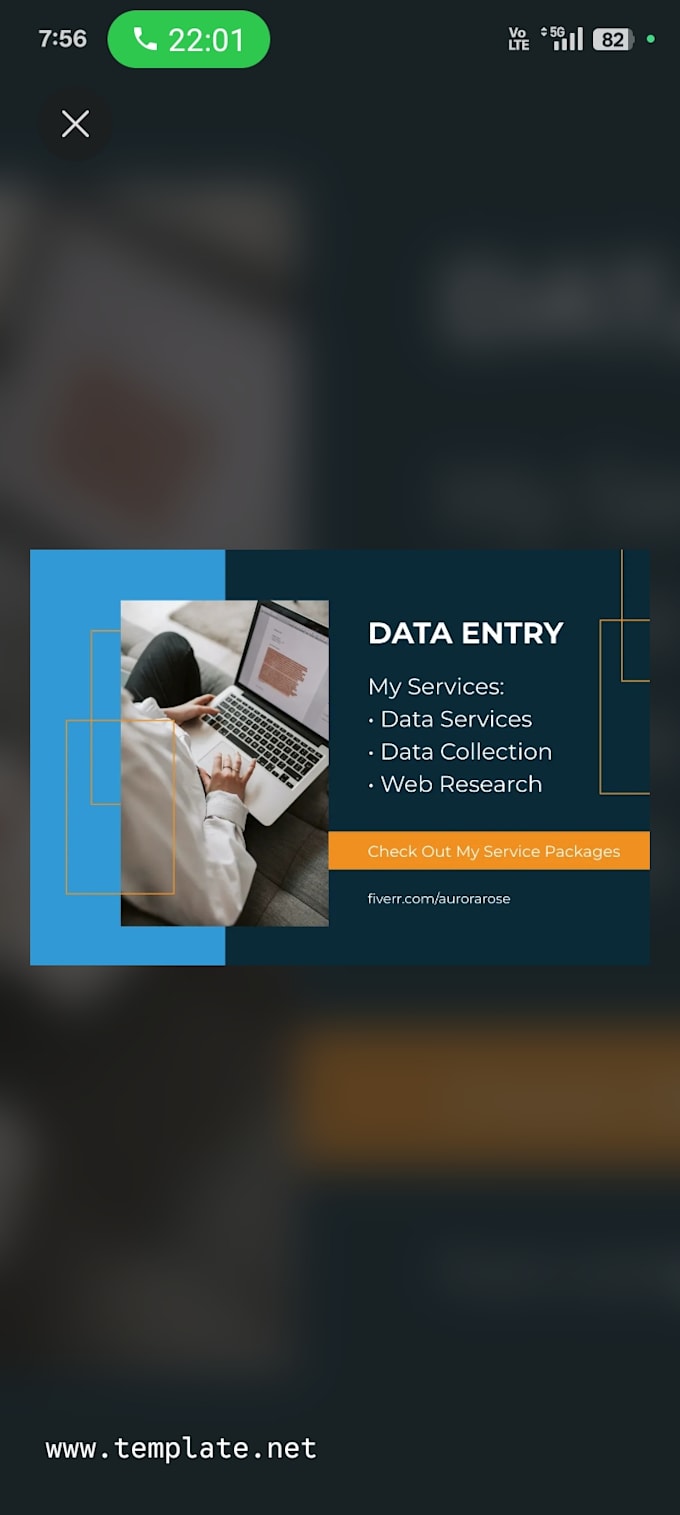 do professional excel data entry and gst invoice billing