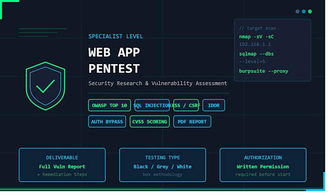 do web application penetration testing and security audit