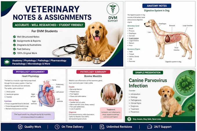 create a veterinary notes assignments and study material