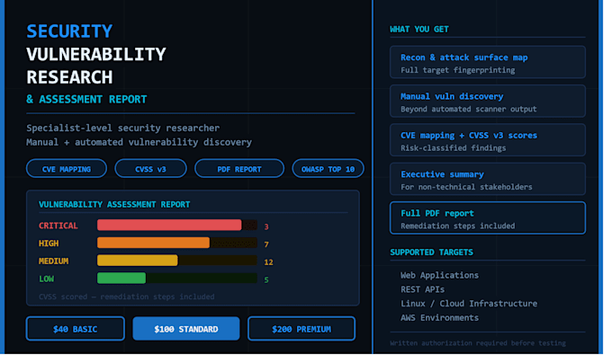 do security vulnerability research and assessment report