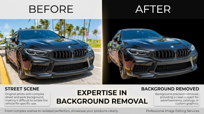 professional in remove your bg and unwanted item