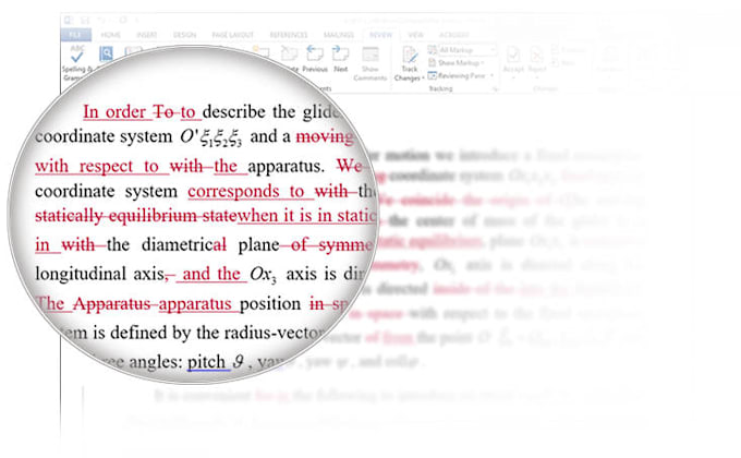 provide python coding web development and proofreading services