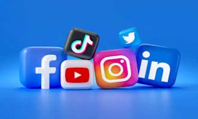 build custom social media bot, instagram api bot, tiktok bot, youtube bot