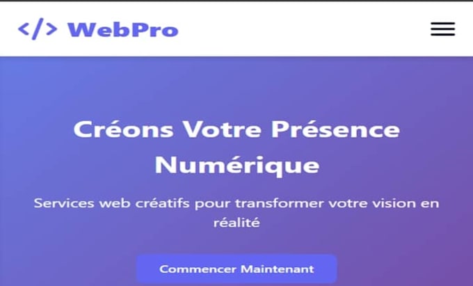 je developpe un site web vitrine professionnel responsive