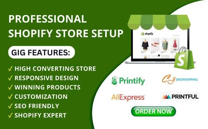professional shopify store design