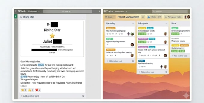 project management and operations support for your business