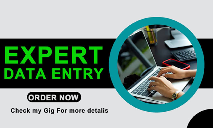do professional data entry, advanced excel, data enrichment, PDF convert,