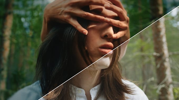 do professional video color grading and color correction