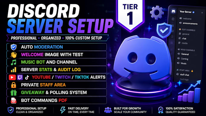 setup a professional custom discord server